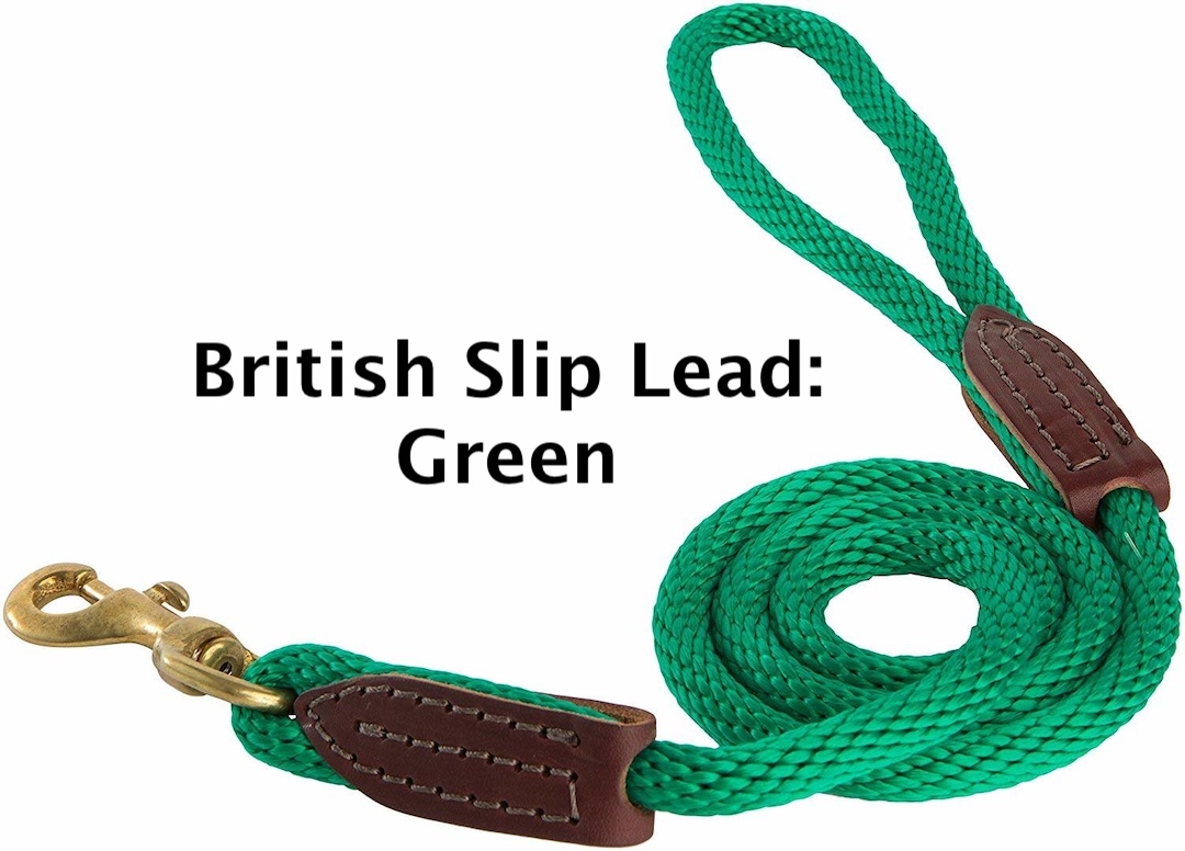 British slip hot sale leash